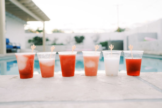 Can You Rent A Margarita Machine?